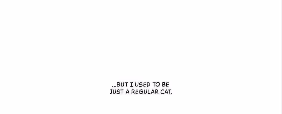 Read The Cook