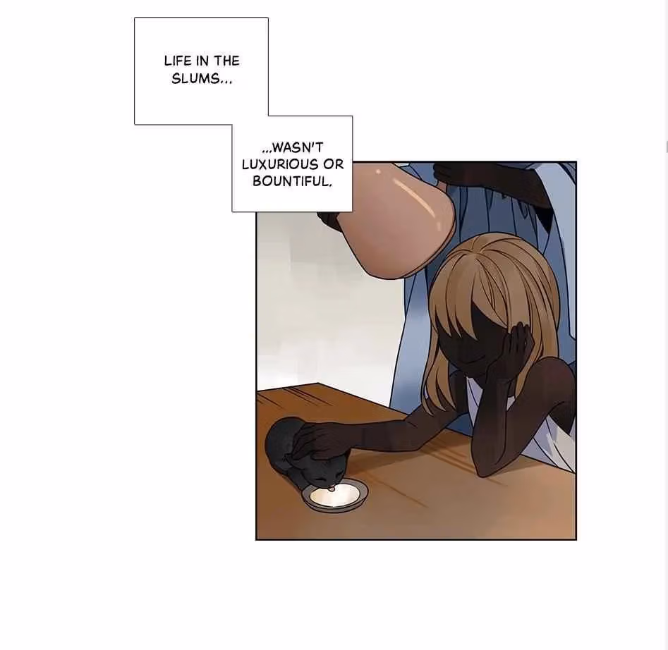 Read The Cook