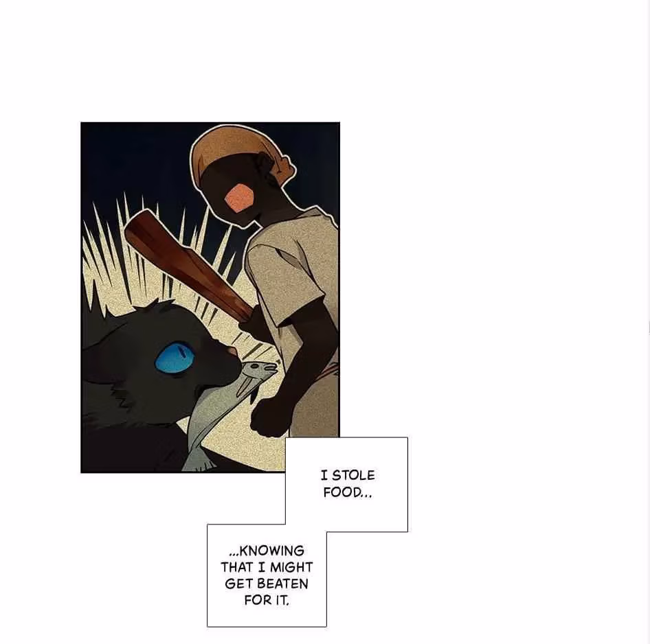 Read The Cook