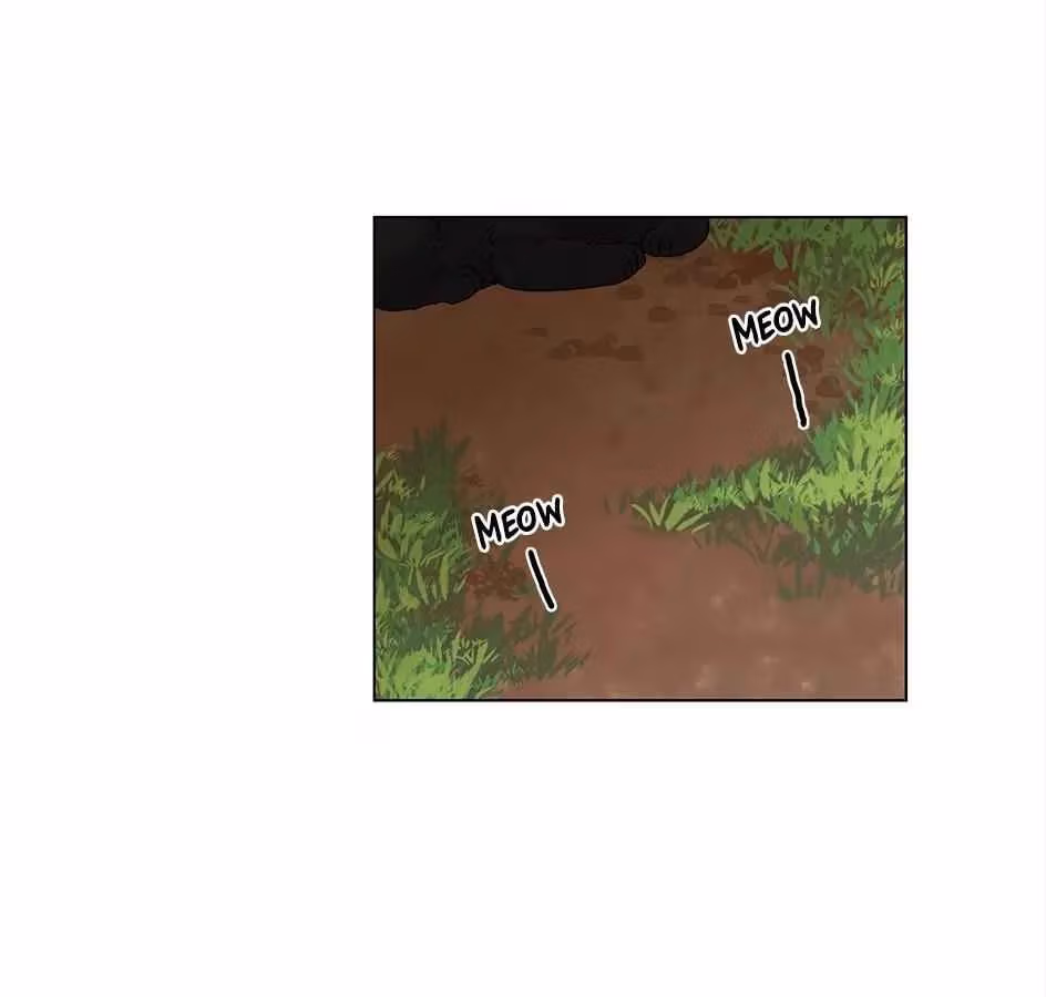 Read The Cook