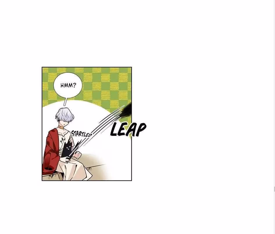 Read The Cook