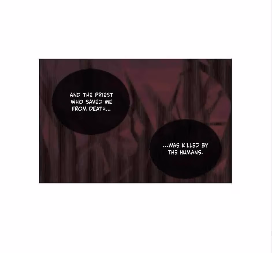 Read The Cook