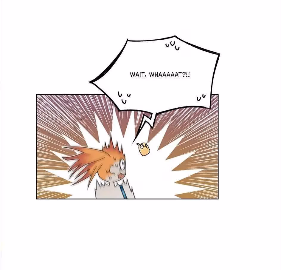 Read The Cook