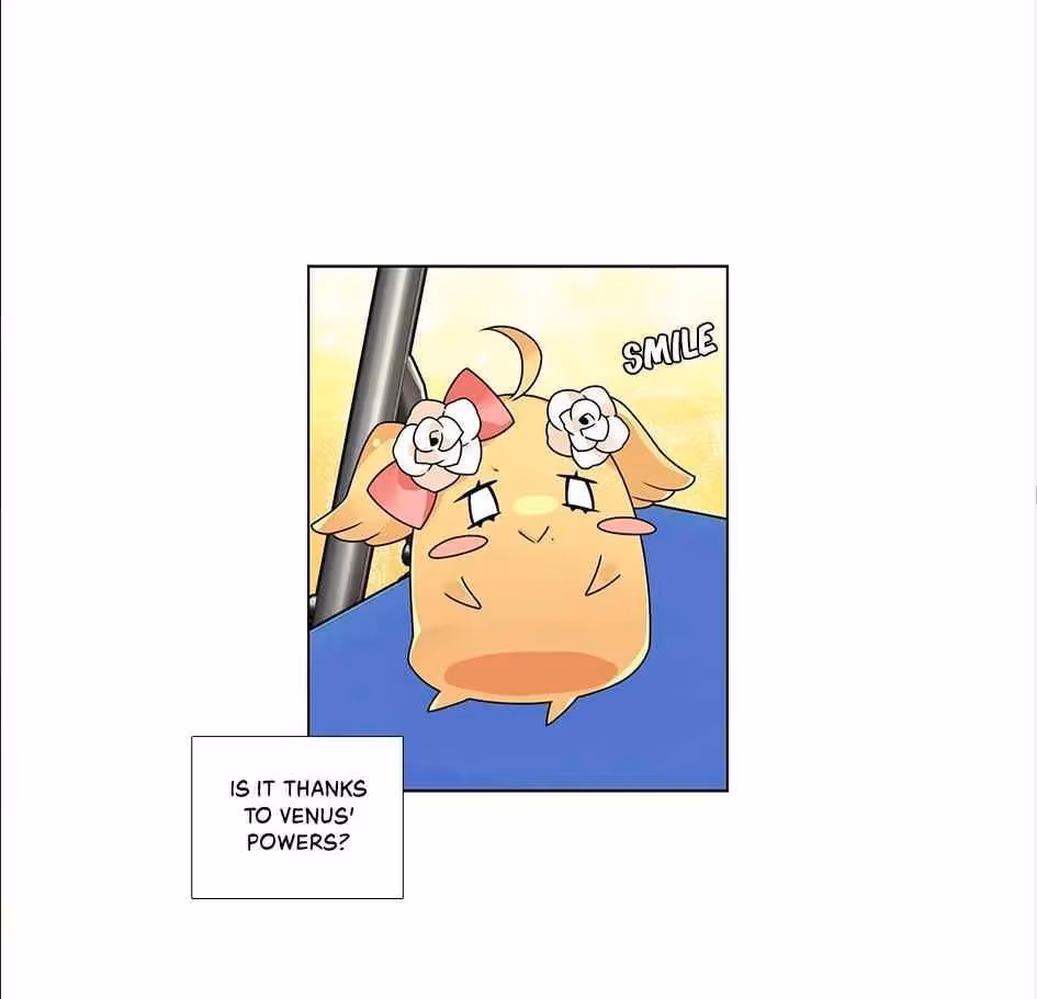 Read The Cook