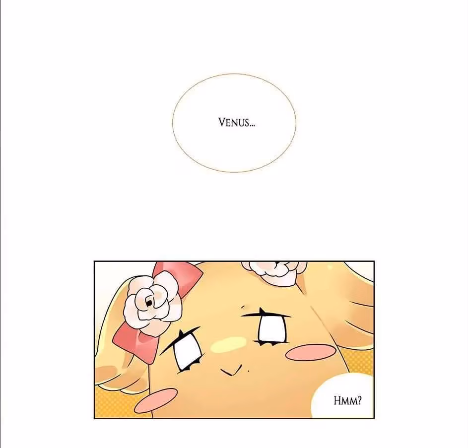 Read The Cook