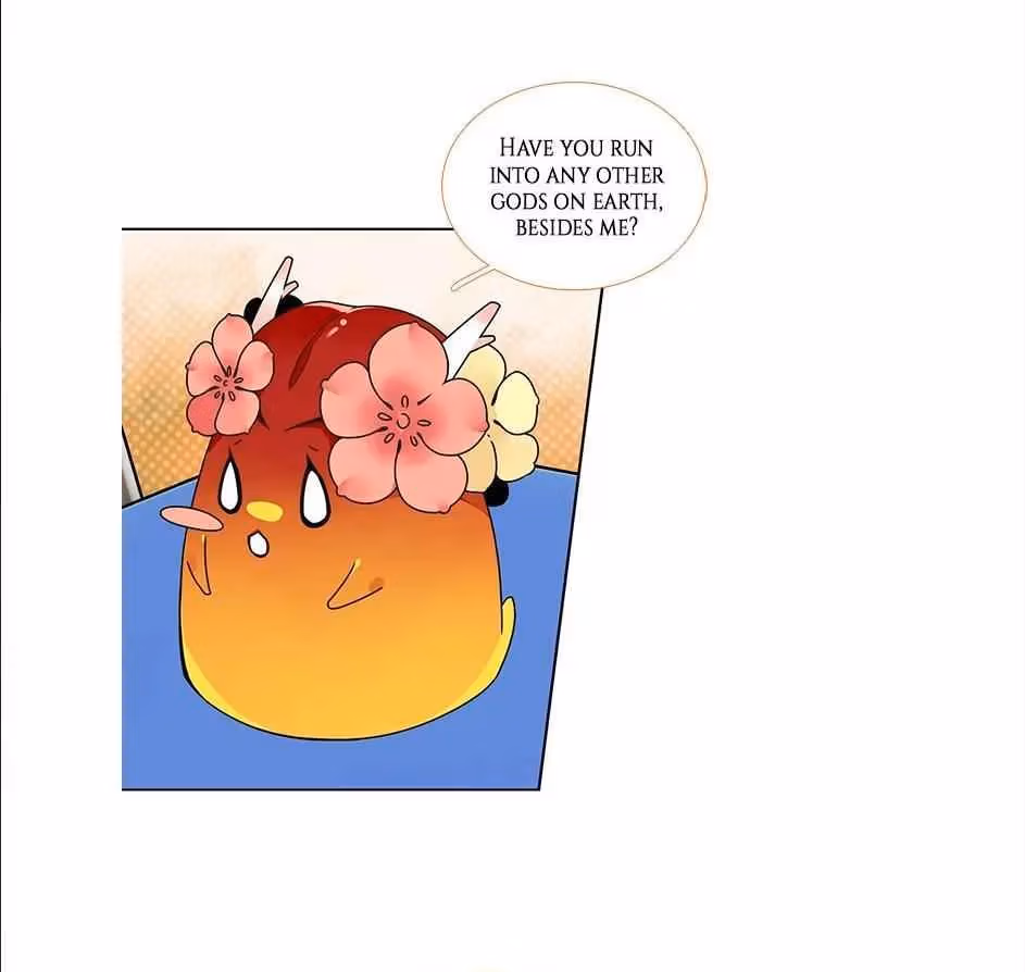 Read The Cook