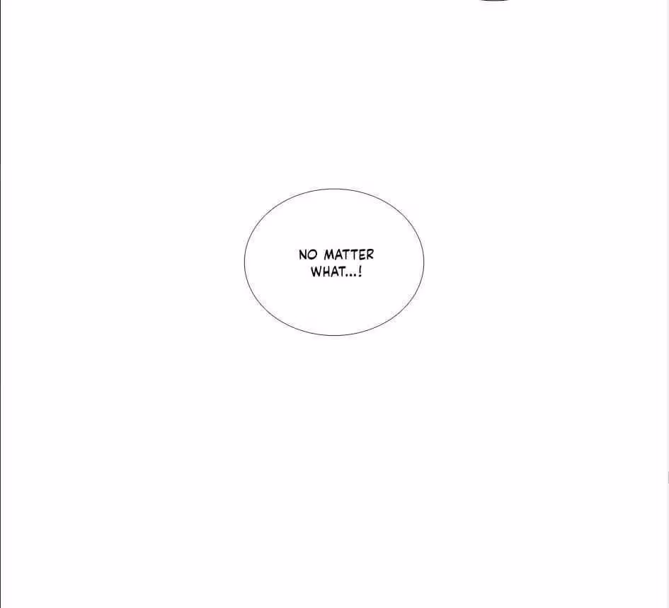 Read The Cook