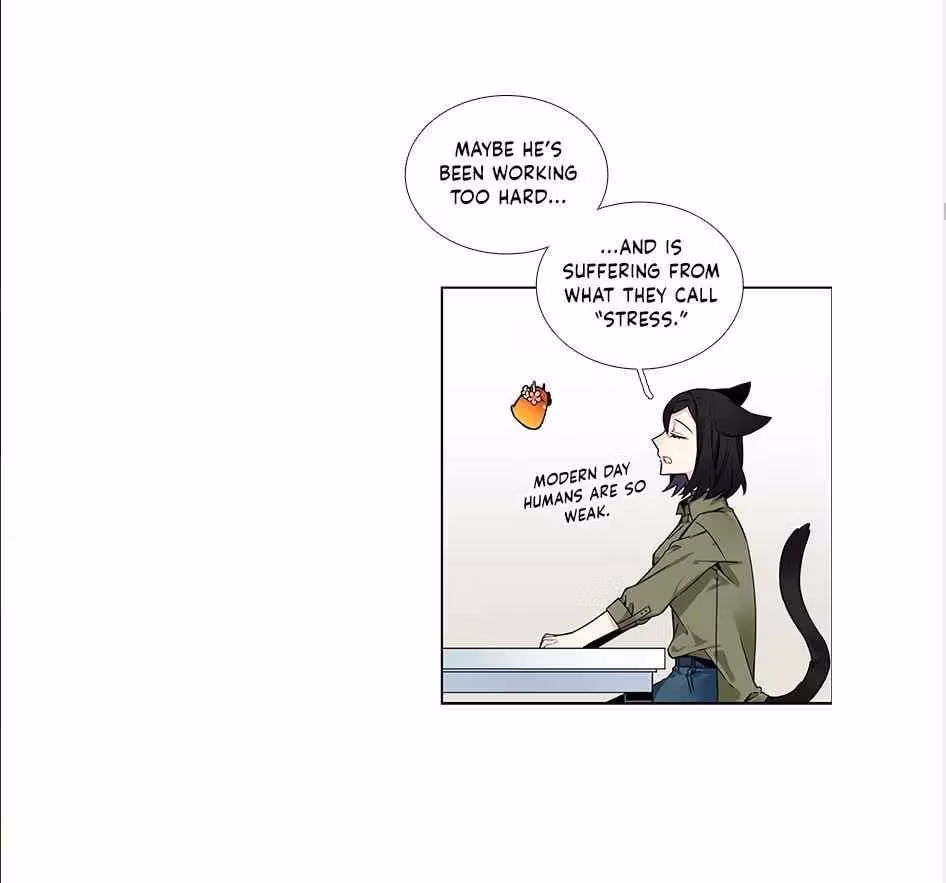 Read The Cook