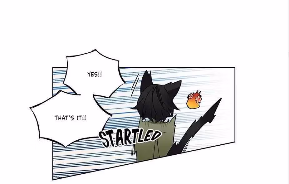 Read The Cook