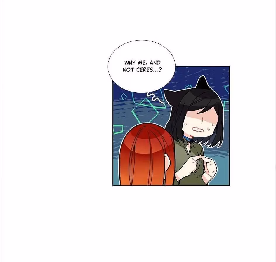 Read The Cook