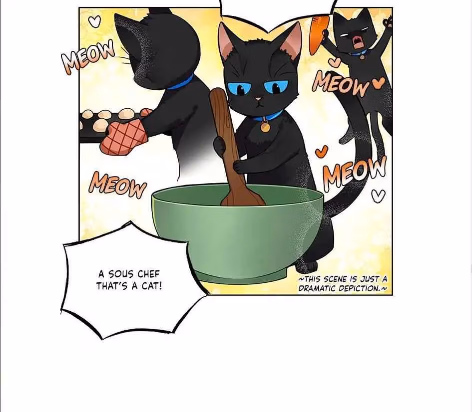 Read The Cook