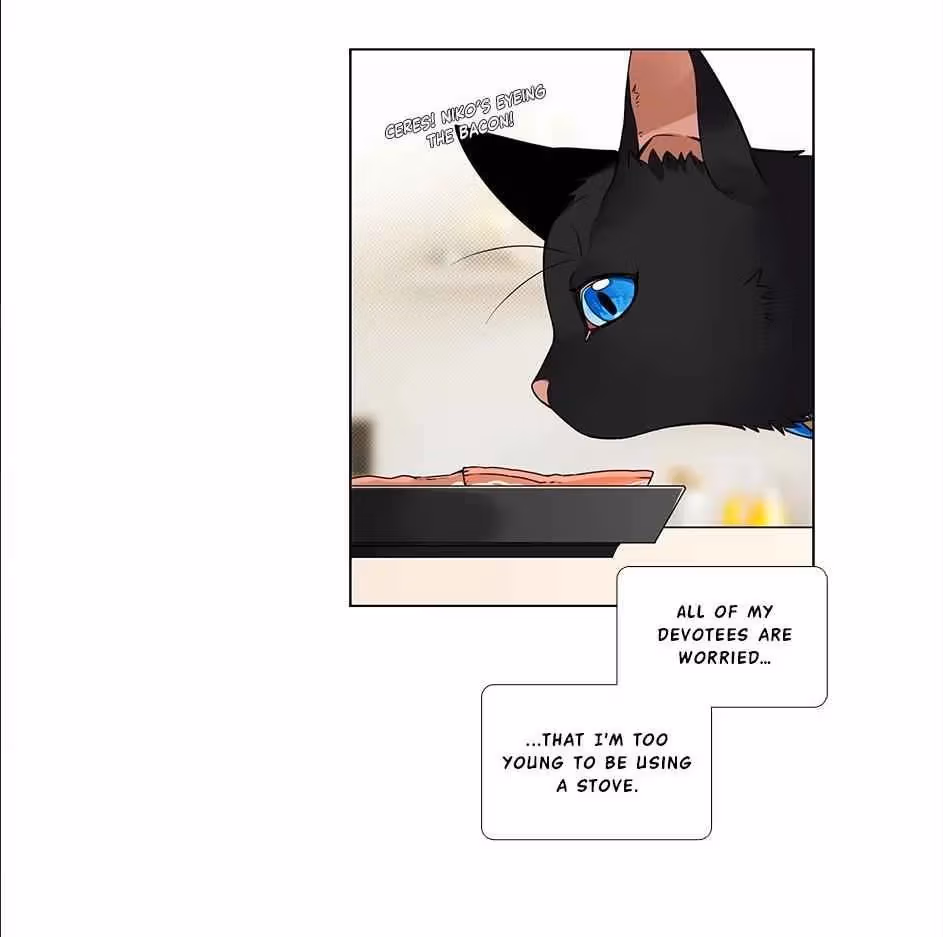 Read The Cook