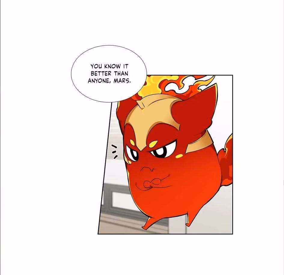 Read The Cook