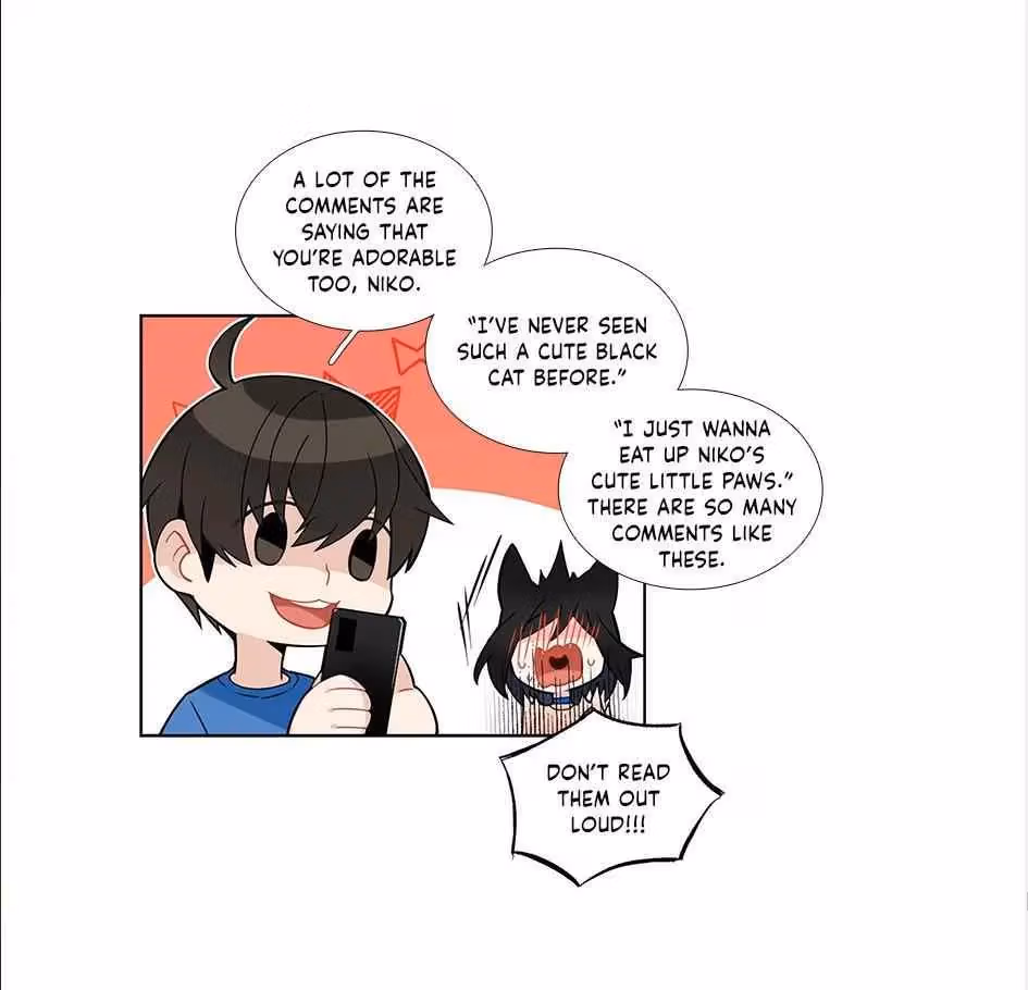 Read The Cook