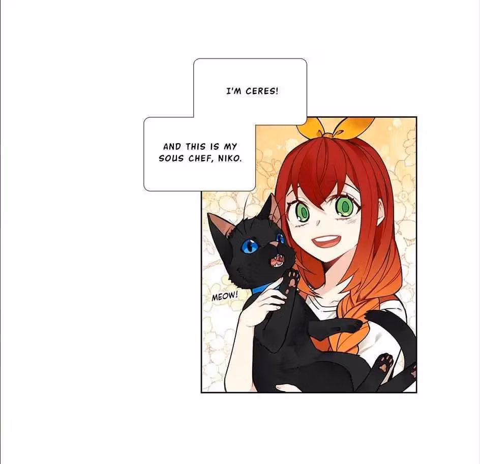 Read The Cook