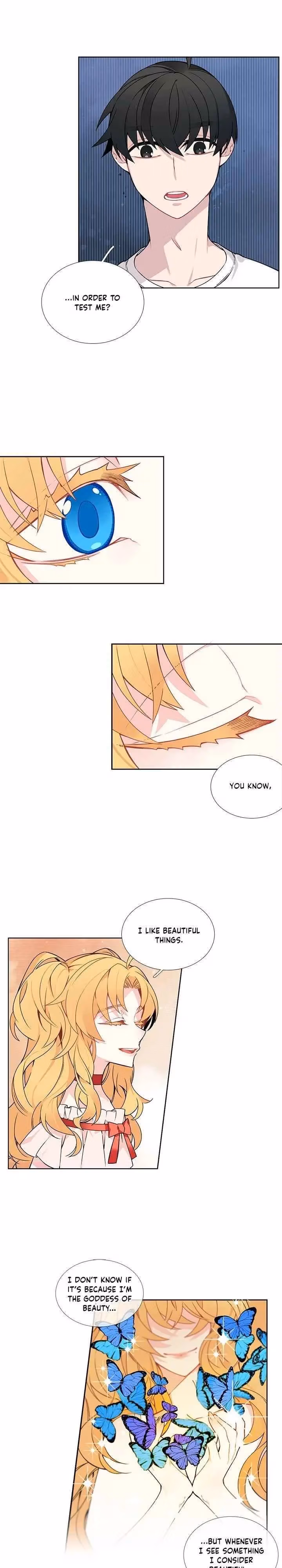 Read The Cook