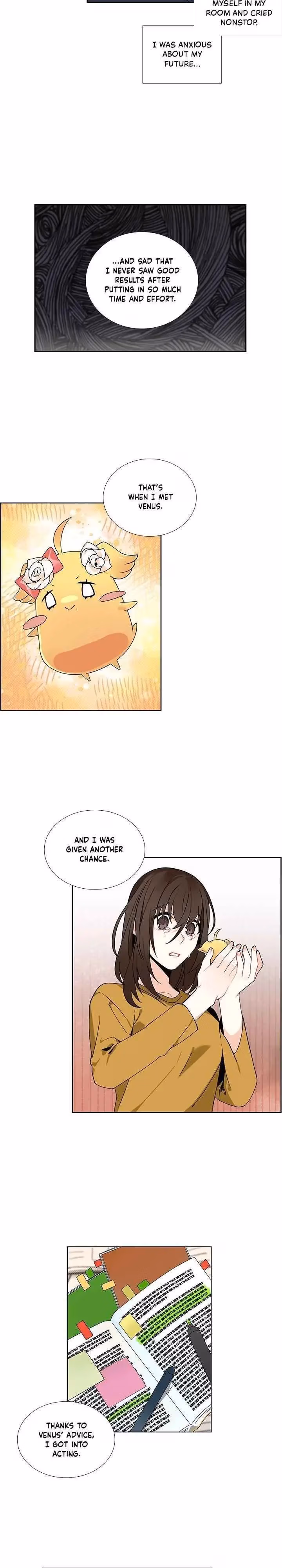 Read The Cook