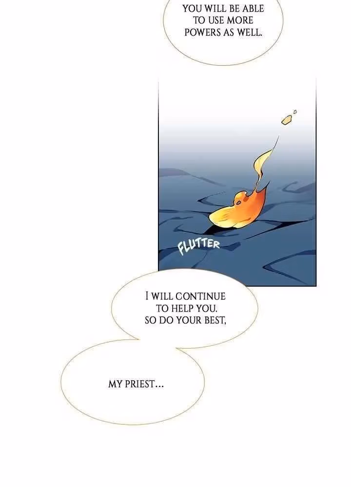 Read The Cook