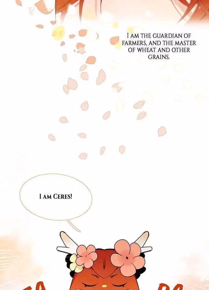 Read The Cook