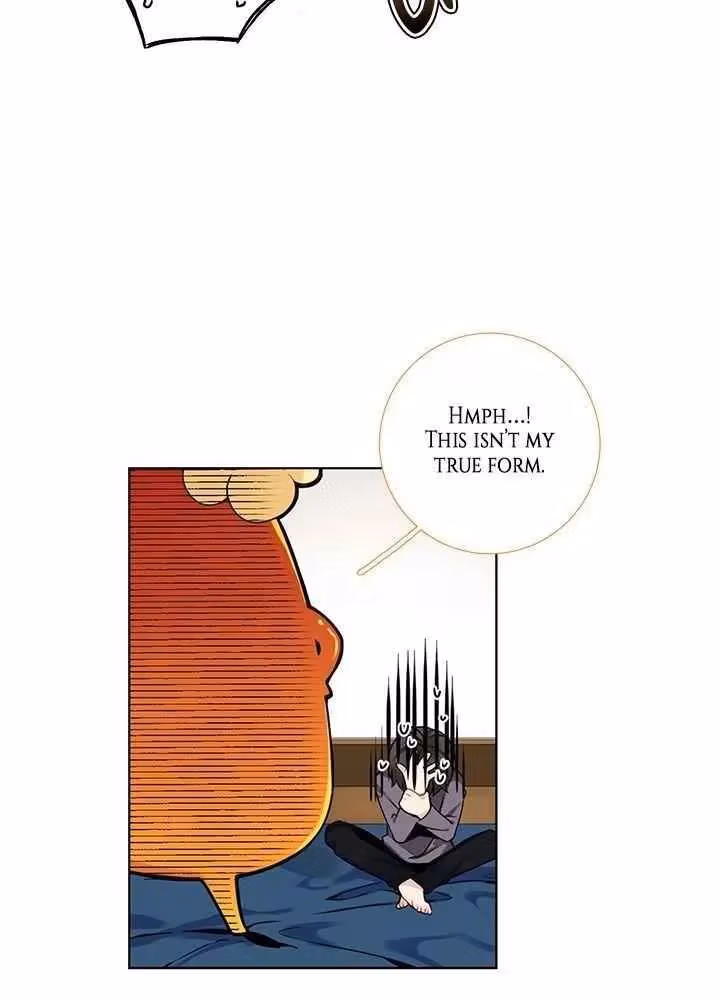 Read The Cook