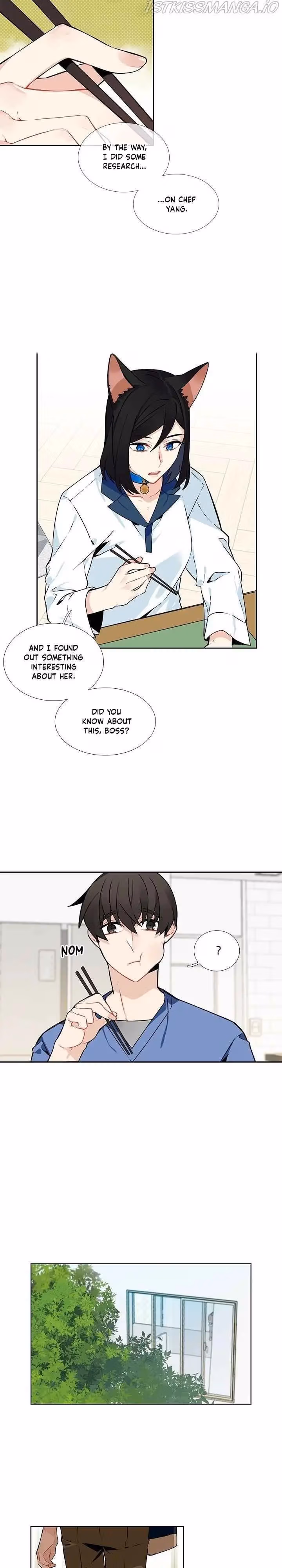 Read The Cook