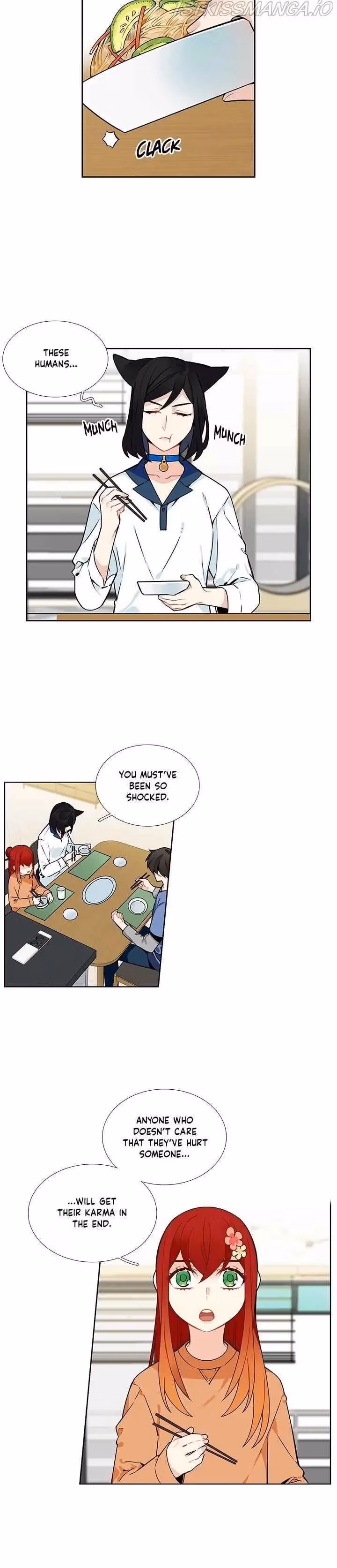 Read The Cook
