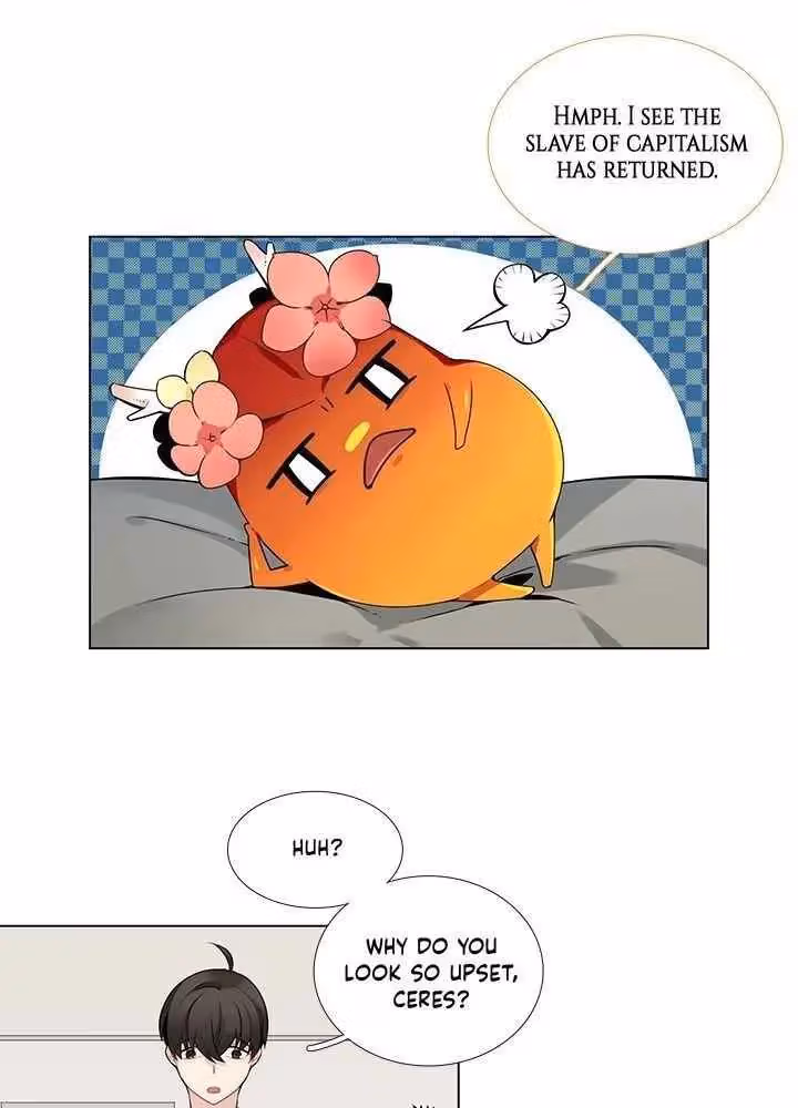 Read The Cook