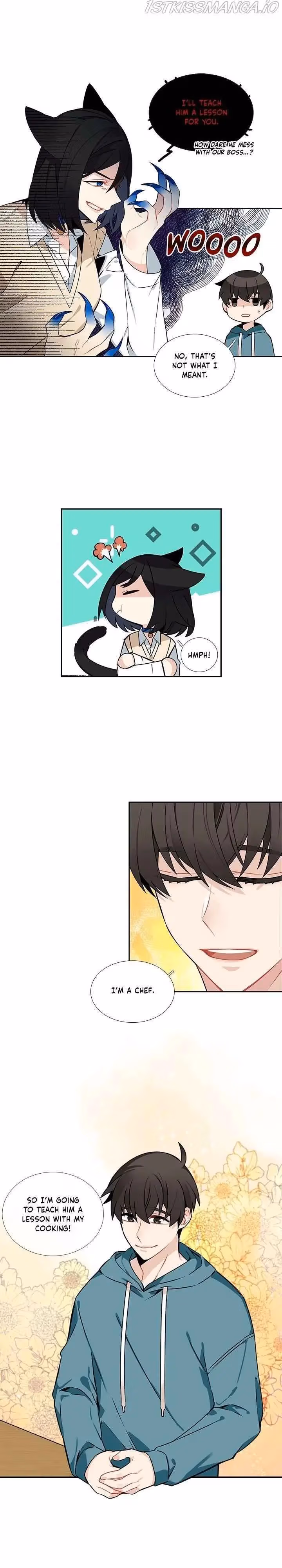 Read The Cook