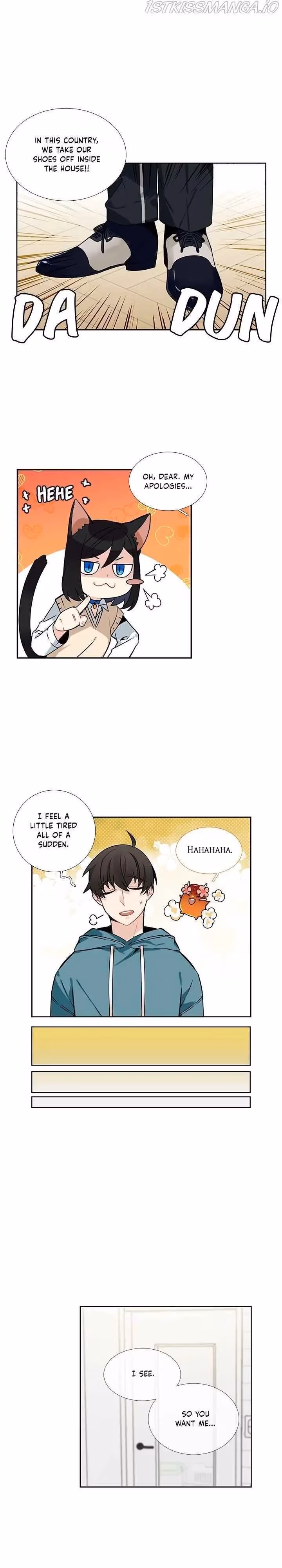 Read The Cook