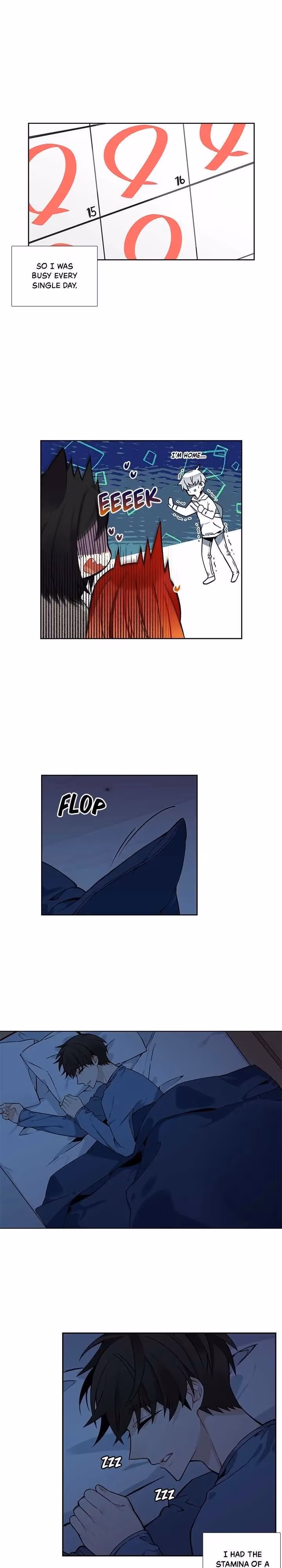 Read The Cook