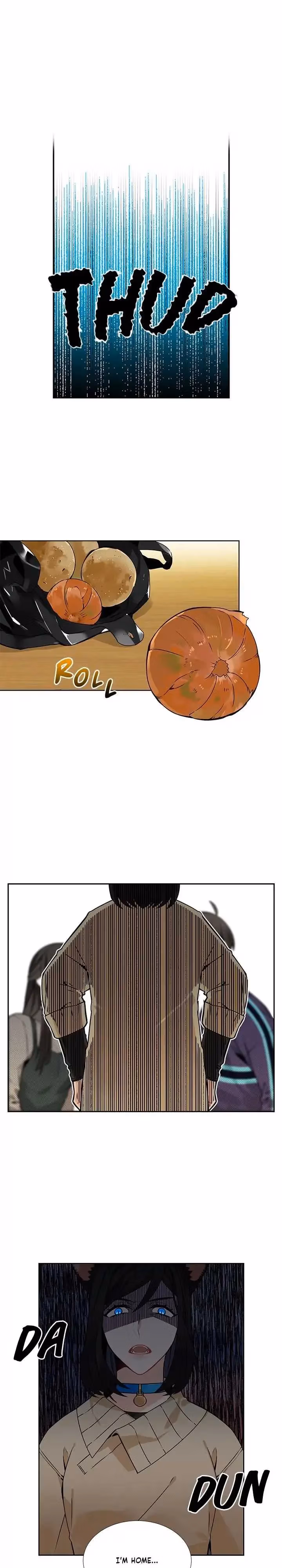 Read The Cook