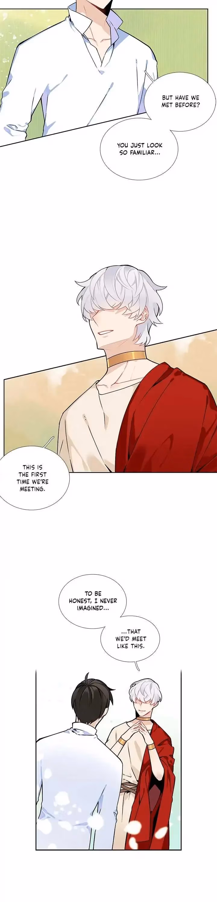 Read The Cook