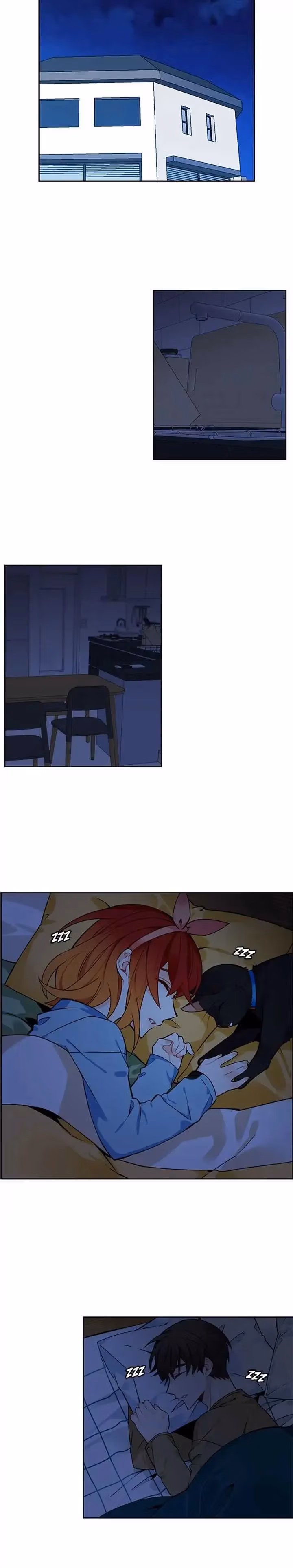 Read The Cook