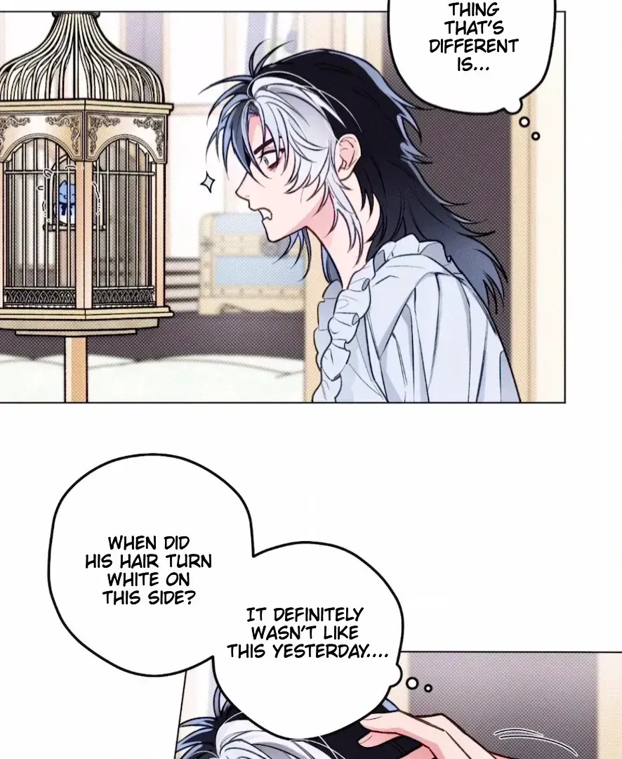 Read The Count Has Been Reincarnated chapter 1.3 image 44 on Lezhin