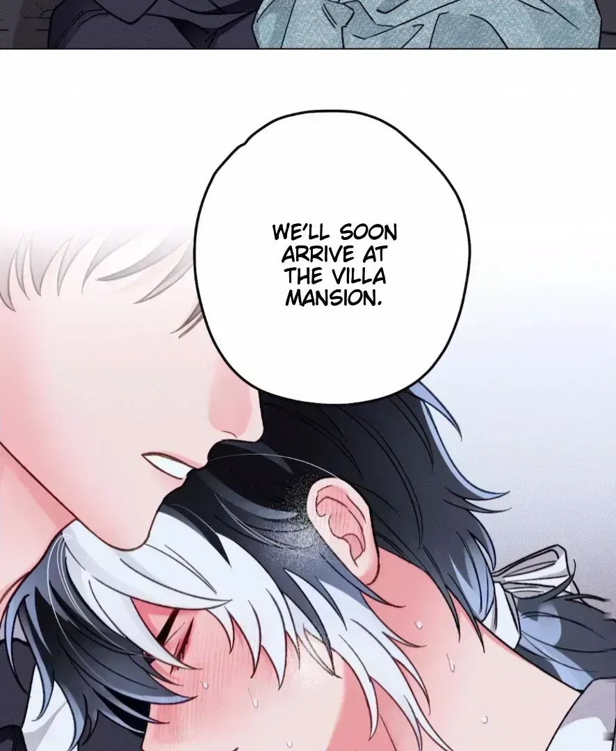 Read The Count Has Been Reincarnated chapter 4.2 image 5 on Lezhin