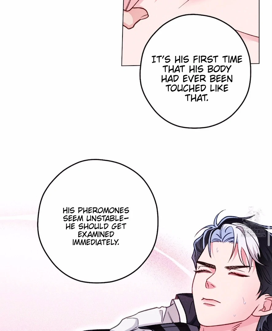 Read The Count Has Been Reincarnated chapter 8 image 17 on Lezhin