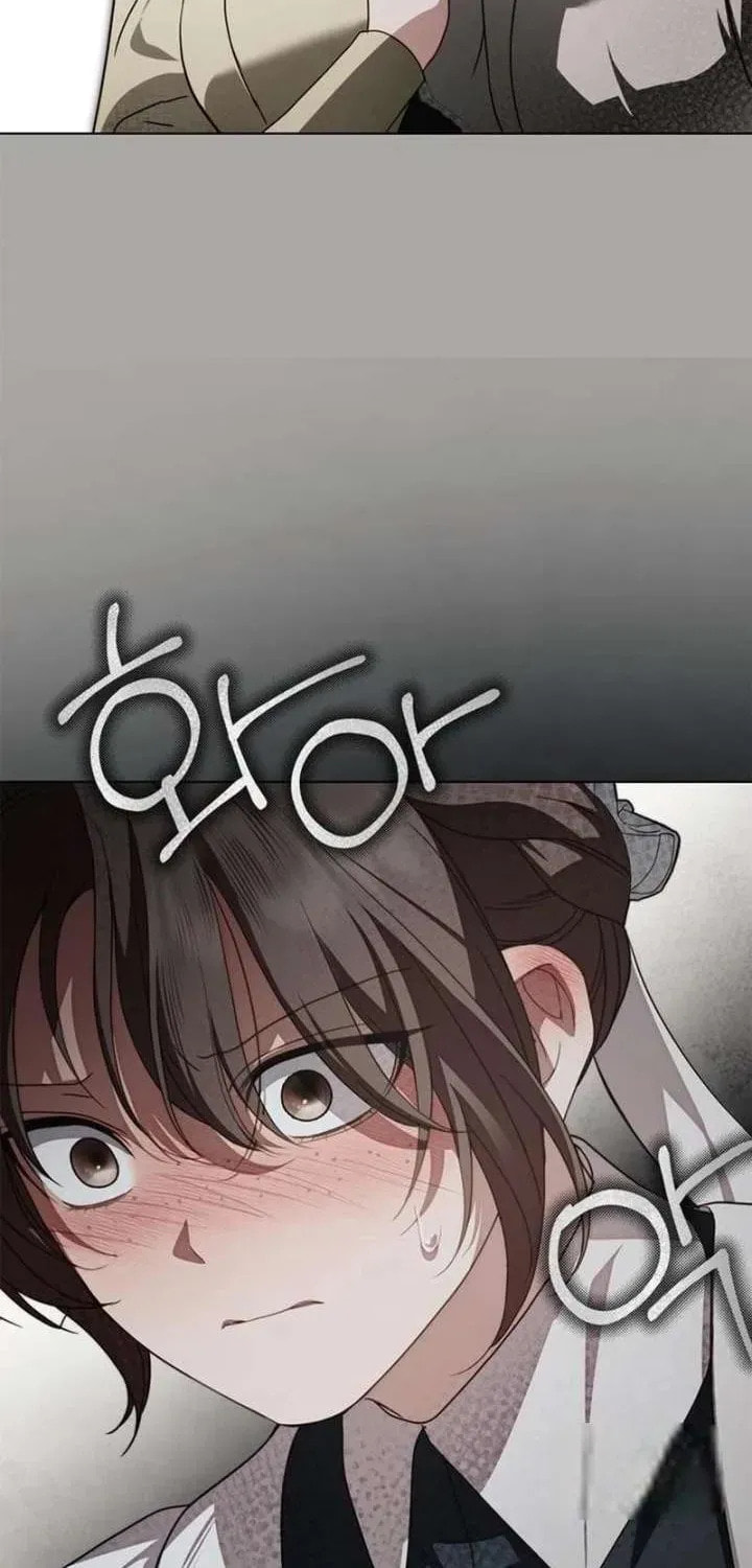 Read The Count