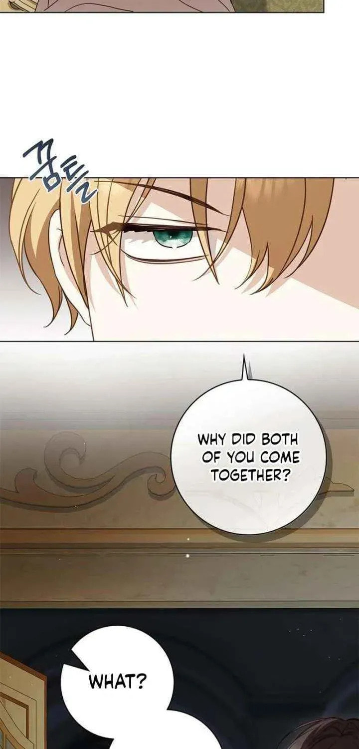 Read The Count
