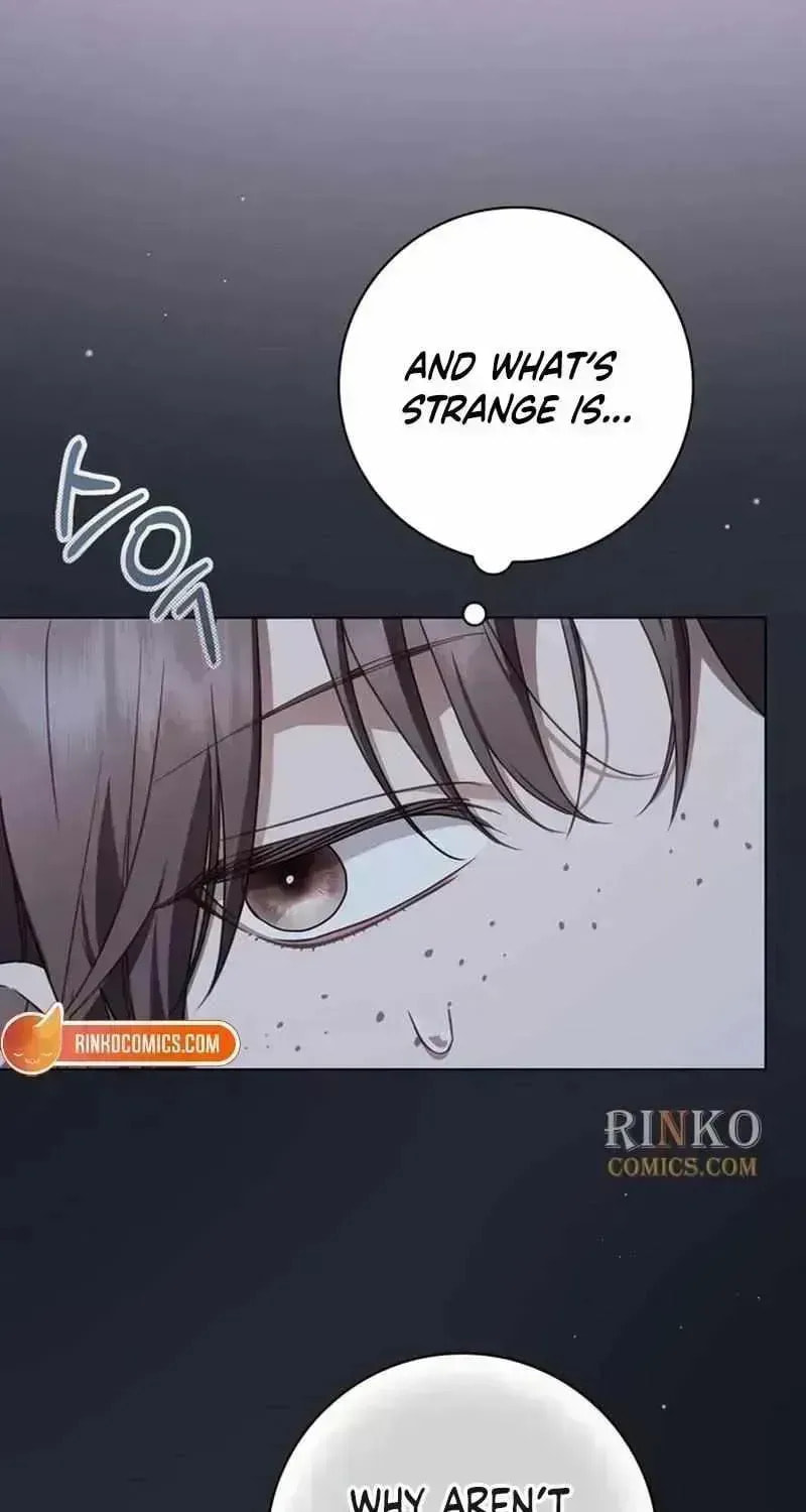 Read The Count
