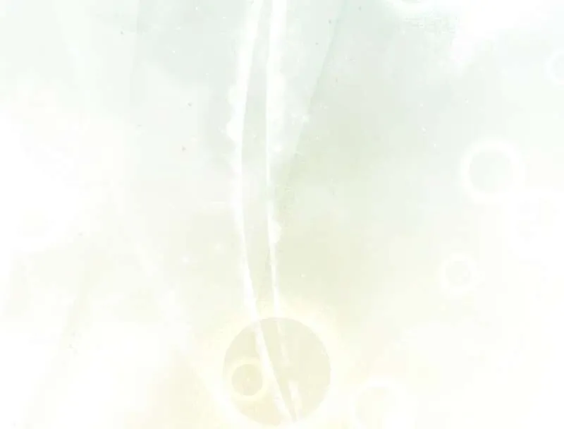 The Countess Who Ran Away Has Returned Chapter 6 page 50 - 
