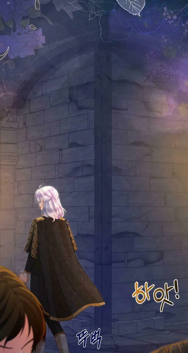 The Countess Who Tames the Prince Chapter 21 page 24 - 