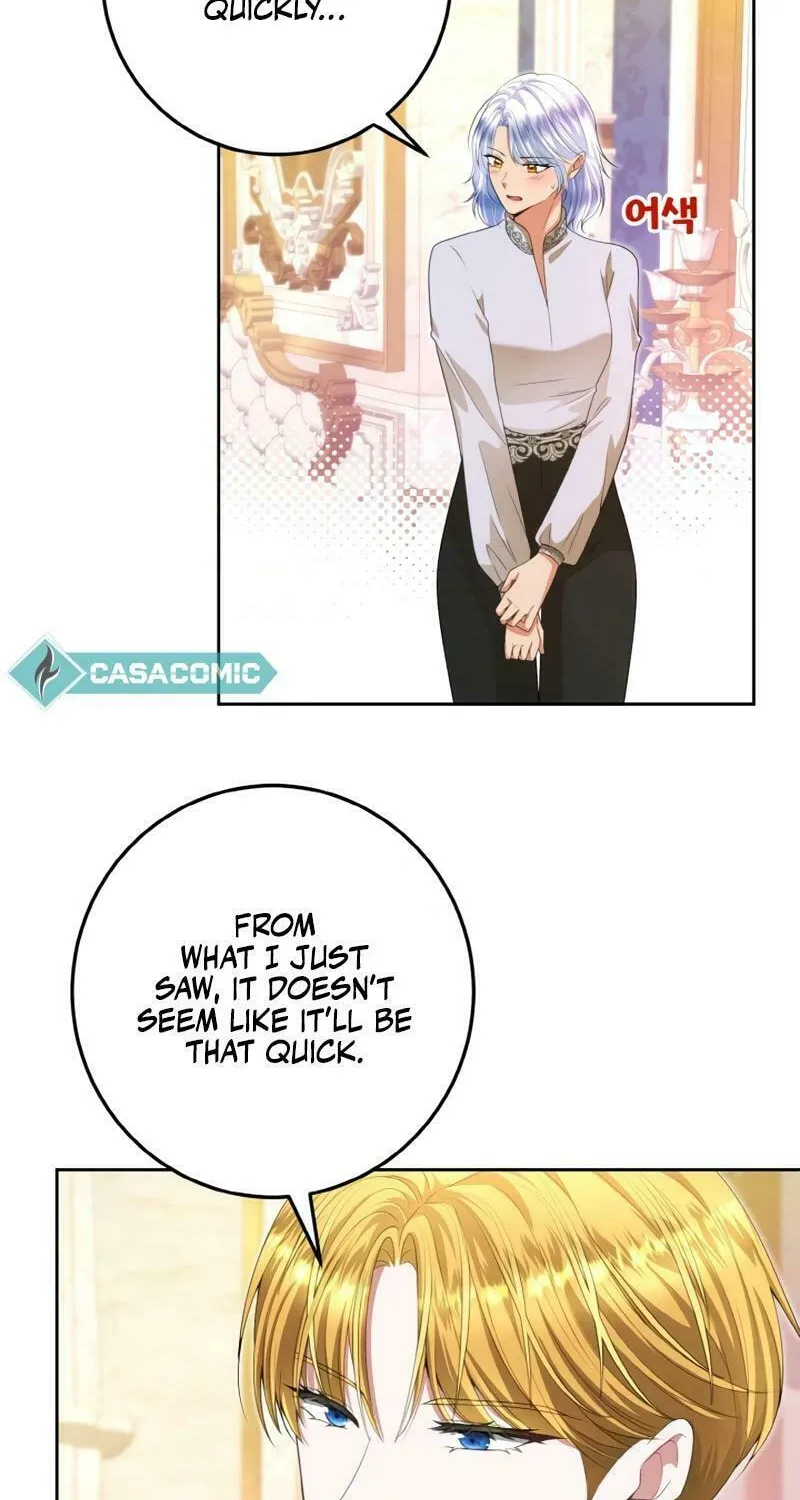 The Countess Who Tames the Prince Chapter 21 page 69 - 