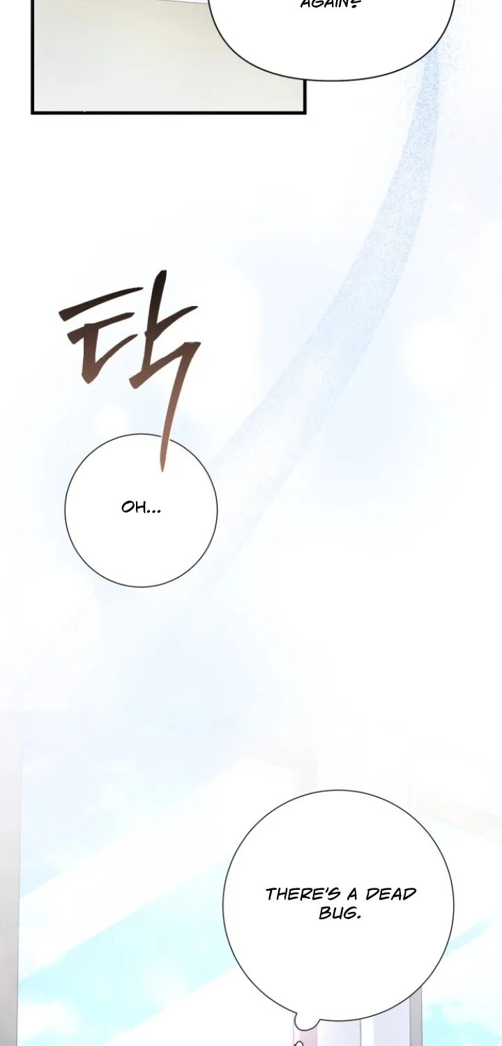 Read The Countess’s Secret chapter 2 image 3 on Lezhin