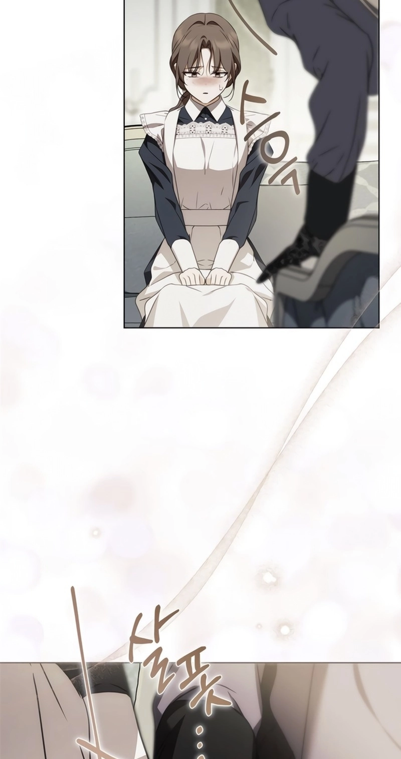 The Count’s Secret Maid Chapter 104 page 14 - 