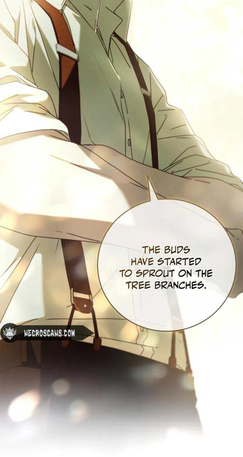 Read The Count’s Secret Maid chapter 13 image 8 on Lezhin