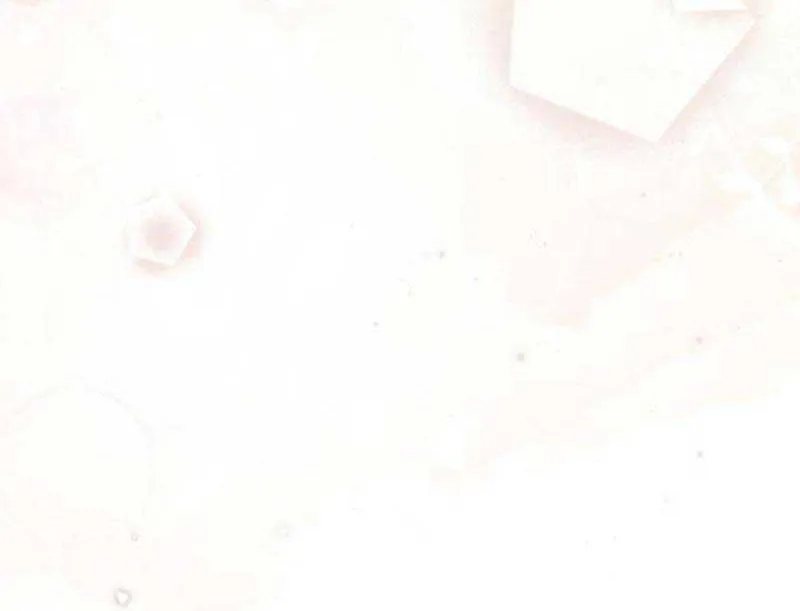 Read The Count’s Secret Maid chapter 14 image 70 on Lezhin