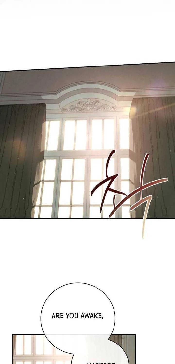 Read The Count’s Secret Maid chapter 2 image 7 on Lezhin