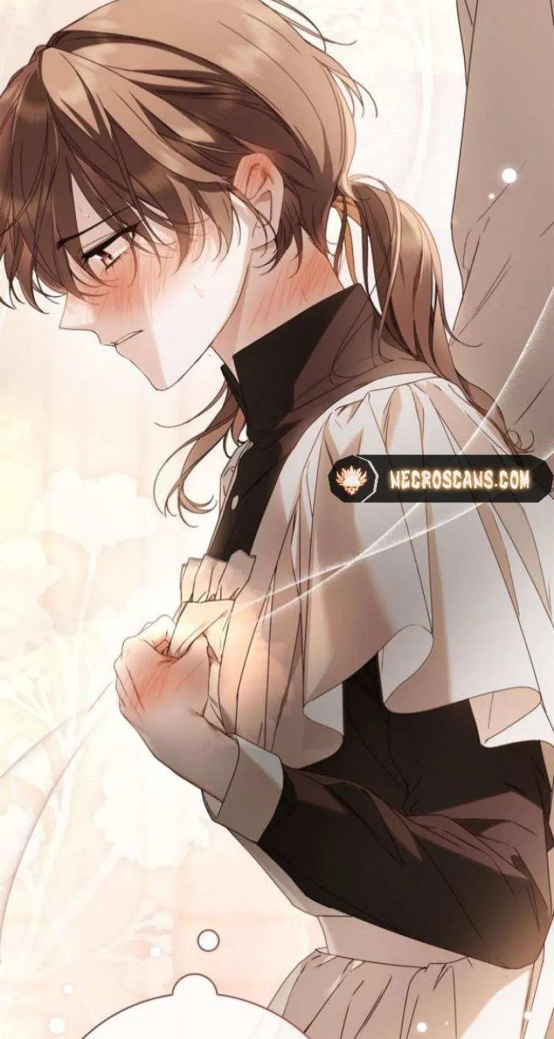 Read The Count’s Secret Maid chapter 20 image 85 on Lezhin