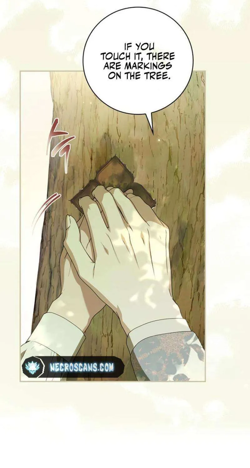 Read The Count’s Secret Maid chapter 27 image 44 on Lezhin