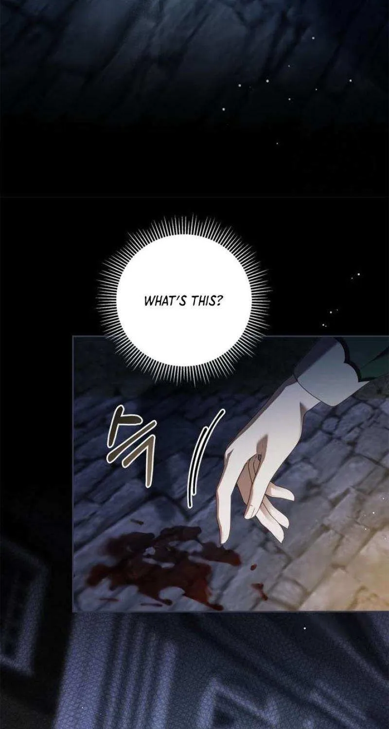 Read The Count’s Secret Maid chapter 41 image 28 on Lezhin